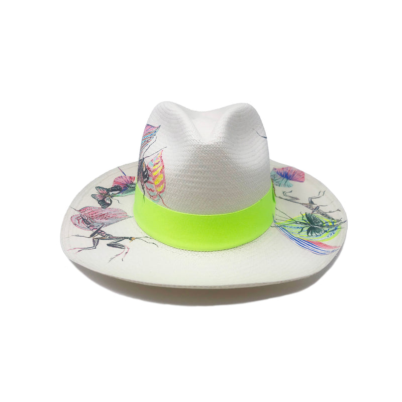 Panama Hat - Bugs Parade - Qilin Brand